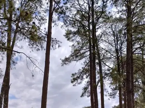 Terreno en Venta de 1516,0 m2