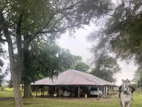 Campo Paraje Malvinas (Corrientes) - 949 has.