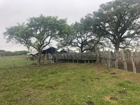 Campo Paraje Malvinas (Corrientes) - 949 has.