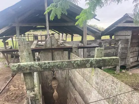 Campo Paraje Malvinas (Corrientes) - 949 has.