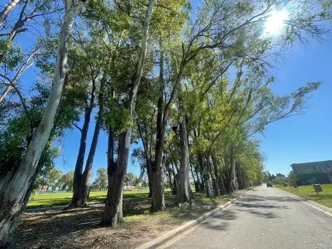 Terreno en Venta de 527,0 m2