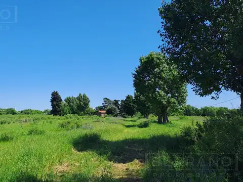 LDO. Venta Campo Fracción 10 has Apto Desarrollo Loteo Casa 4 amb Zarate