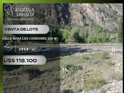 Avenida Los