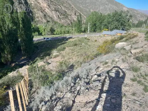 Terreno en Venta 52  mts Frente