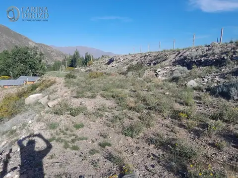 Terreno en Venta 58  mts Fondo