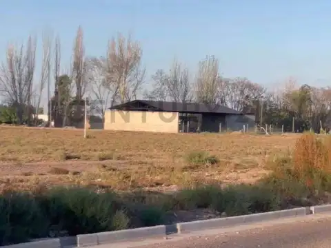 Terreno en Venta en Lujan de Cuyo, Luján de Cuyo
