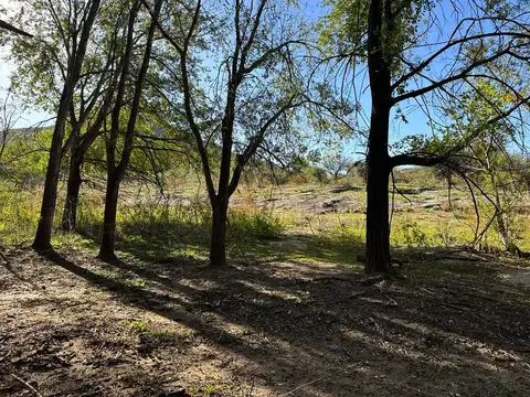 Terreno en Venta de 10100,0 m2