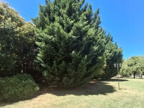 Terreno en Venta de 772,0 m2