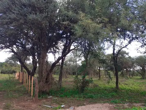 Terreno en Venta en Los Molles, Belgrano