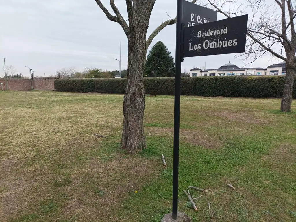 Terreno en Venta en Ombues de Hudson