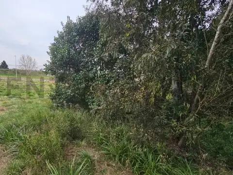 Terreno en Venta de 500,0 m2