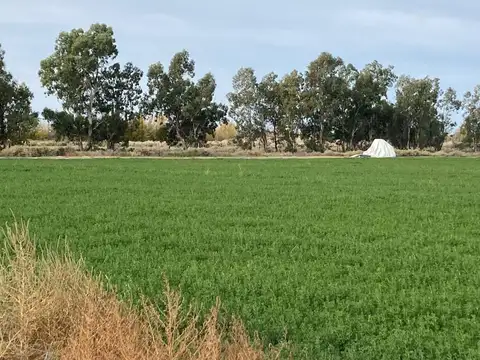 Terreno en Venta de 2371,0 m2