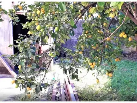 Local en Venta 51 años