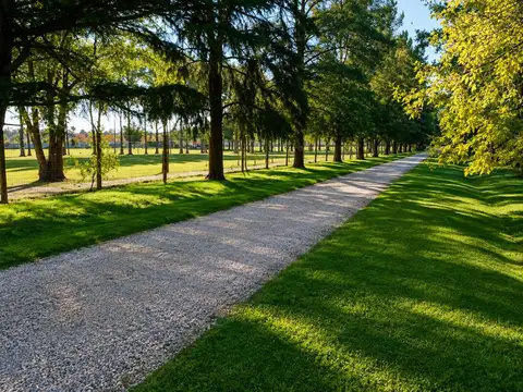 Terreno en Venta de 818,0 m2