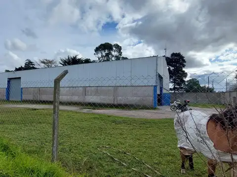 Galpón en Mar Del Plata