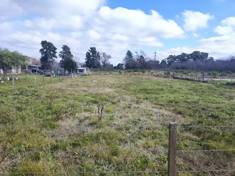 El Pechito Colorado