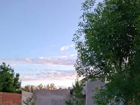 50 e/ 111 y 109