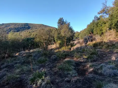 Terreno en Venta en San Martin de los Andes, Lácar