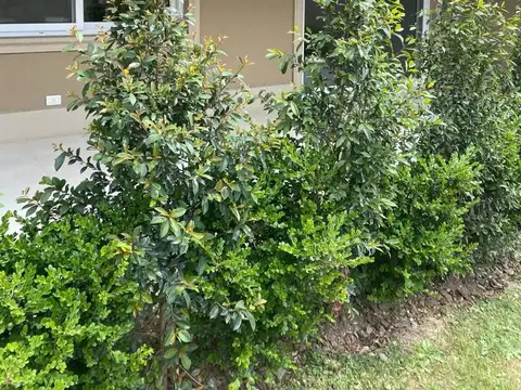 Casa en Venta 5 años