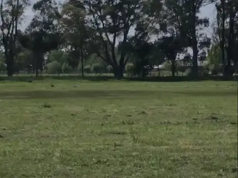 LOTE INTERNO EN TRES PINOS, FONDO VERDE