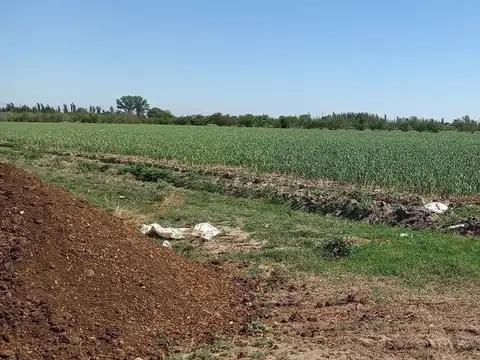 Venta Finca en producción 48,28has, San Martin