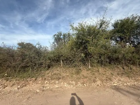 Terreno en Venta de 15000,0 m2