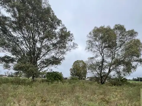 Alquiler campo de 2 hectáreas Ruta 7 San Jacinto