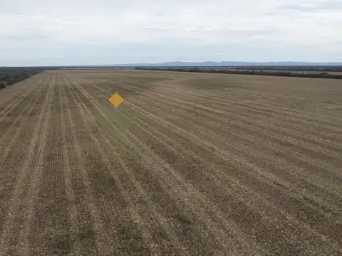 Campo Agrícola en Venta en Embarcación