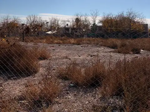 LOTES EN EL ZAPALLAR