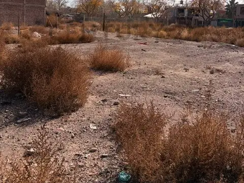 Terreno en Venta 10  mts Frente