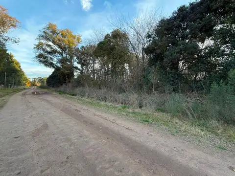 VENTA 7.8 HECTAREAS/PARA PASTURA A 4KM DEL ASFALTO