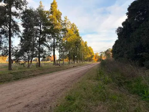 CALLE 125