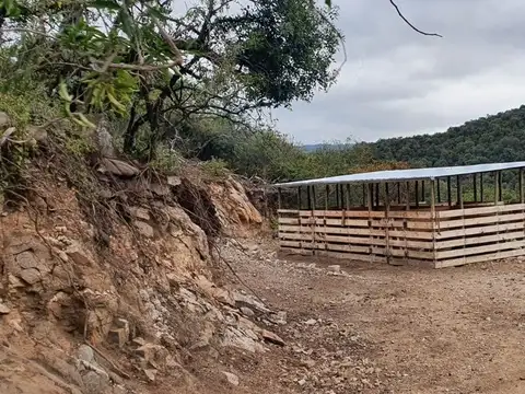 Calle Ercilia López