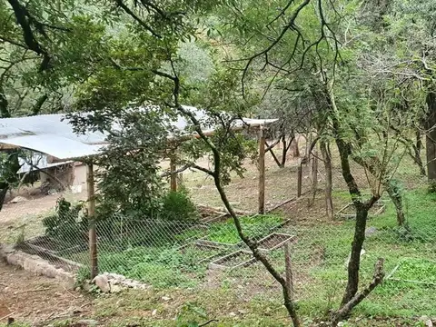 VENTA CAMPO + 2 CASAS UNQUILLO CORRALES Y HUERTA