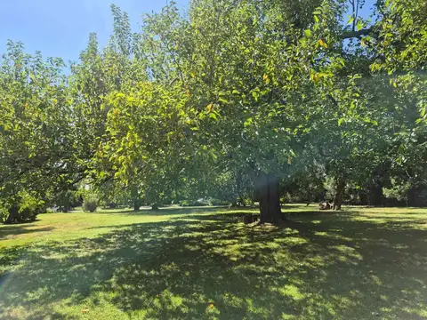 Lote en Club de Campo San Diego (10)
