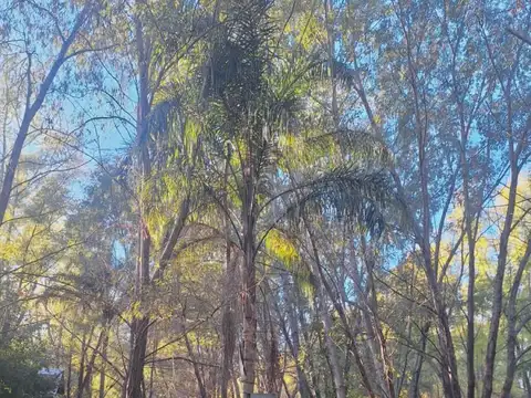 Terreno en Venta de 795,0 m2
