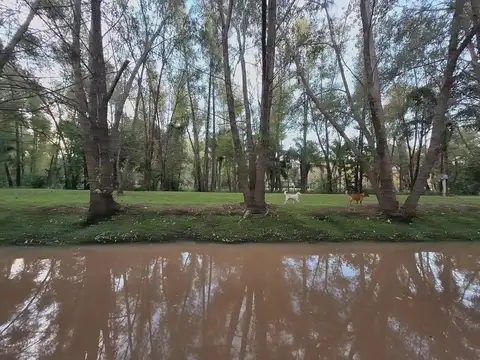 palmares del delta 100