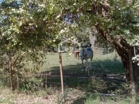 Terreno en Venta de 1646,0 m2