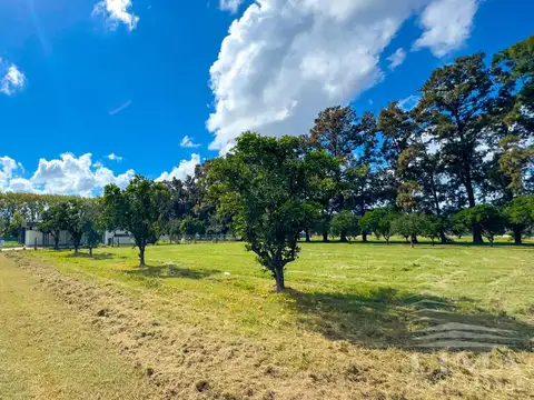 Terreno en Venta en Fighiera, USD 40.500