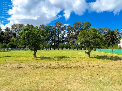 Terreno en Venta 20  mts Frente