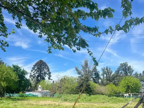 Lote a la venta en Paso de Rey Moreno