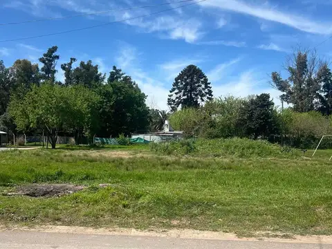 Terreno en Venta de 1555,0 m2