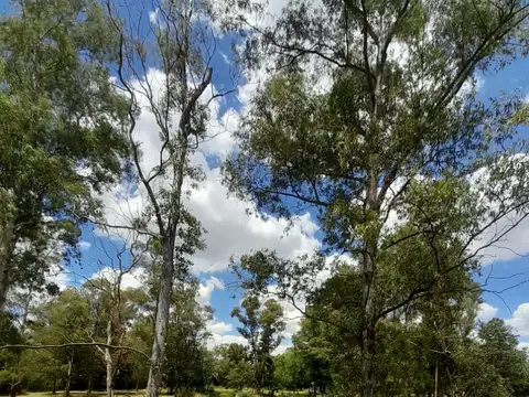 OLAVARRIA 700