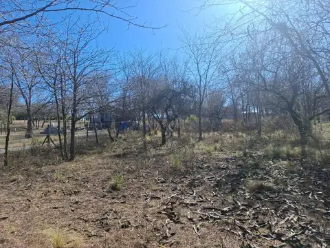 Del Sol