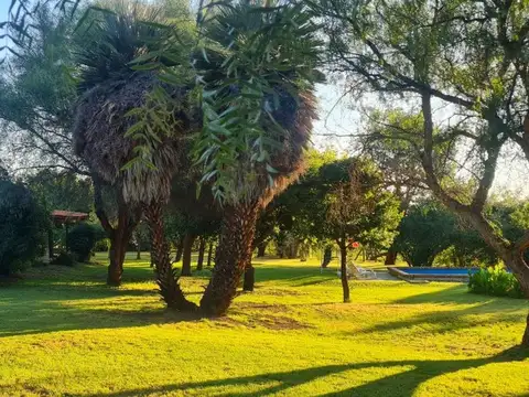 Ruta N° 6, 200