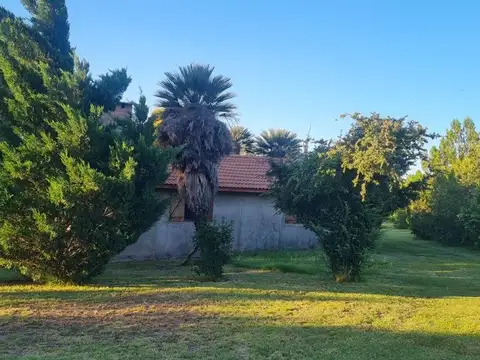 Casa Quinta con 6Ha sobre Ruta N° 6 en Villa Larca