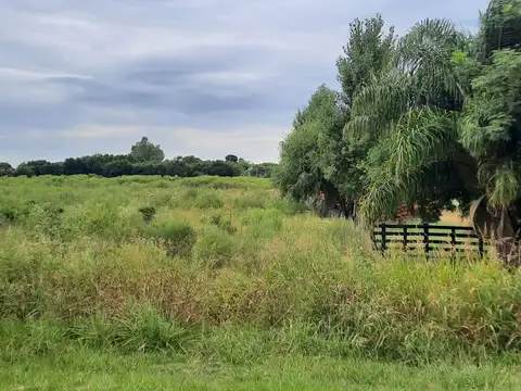 RUTA 1 SALADERO CABAL