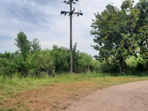 Campo en Venta Agrícola