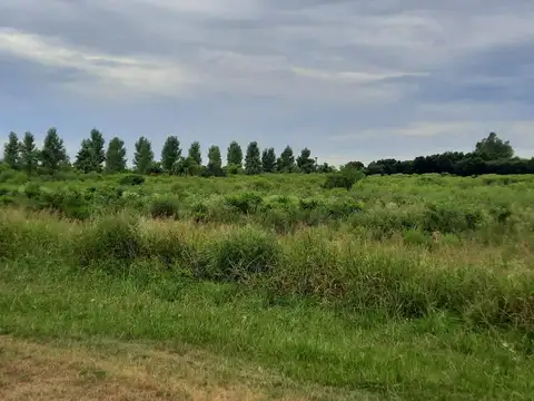 VENDO SALADERO MARIANO CABAL 1,33 HECTAREAS SOBRE RUTA 1 (ZONA URBANA)