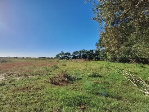 CAMPO EN VENTA EN GUERRICO